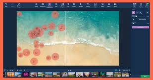 Movavi Photo Editor for Mac 5 Key (a vita / 1 Mac)