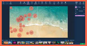 Movavi Photo Editor per Mac 5 Key (a vita / 1 Mac)