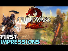 Guild Wars 2: Edizione Eroica Sito ufficiale CD Key