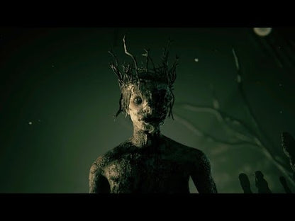 Outlast 2 GOG CD Key