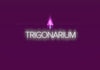 Vapore Trigonarium CD Key