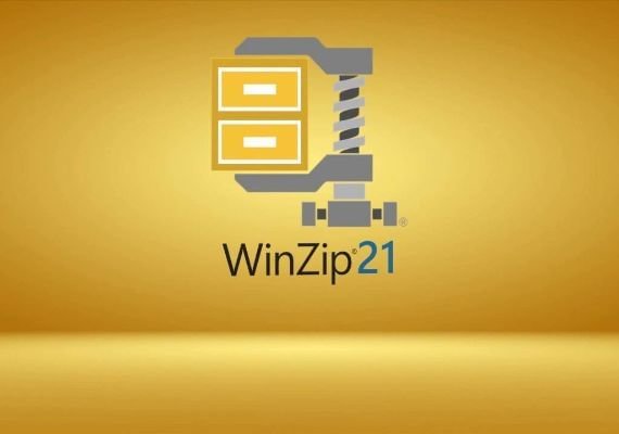 WinZip 21 IT Licenza software globale CD Key