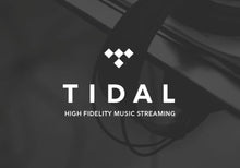 Abbonamento Hi-Fi a Tidal Music 3 mesi prepagato CD Key